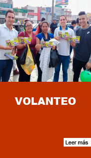 Agencia Interactiva Digital SAC